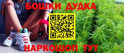 гидропоника Пенза