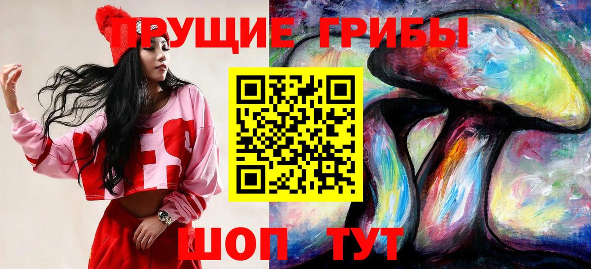 как найти закладки  Галлюциногенные грибы MAGIC MUSHROOMS  Вход с VPN  Сертолово 